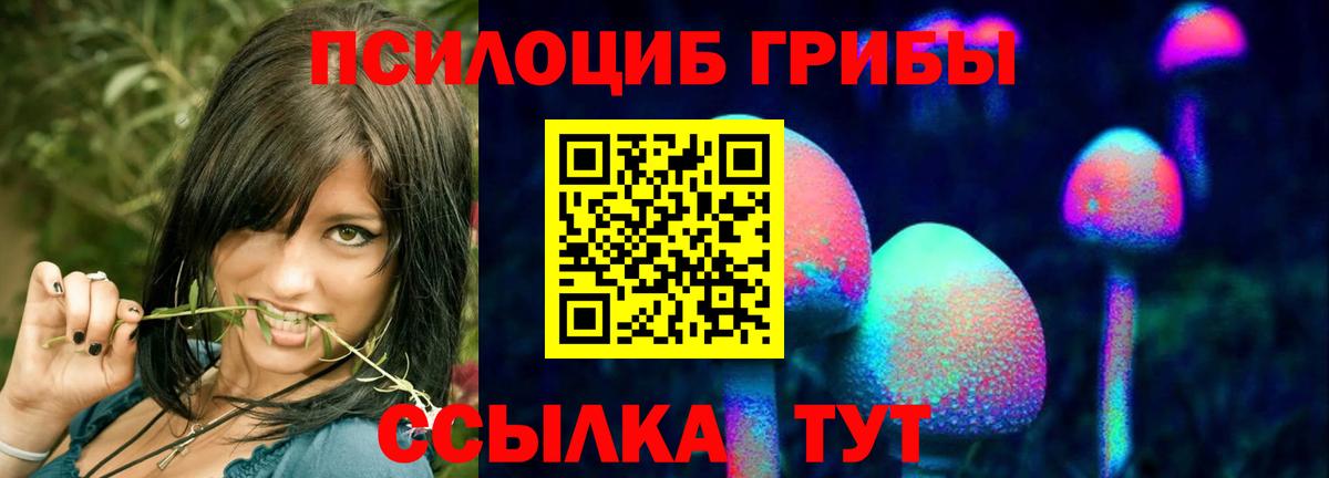 Тихорецк  продажа наркотиков  Вход с VPN  Галлюциногенные грибы GOLDEN TEACHER  Галлюциногенные грибы прущие грибы 